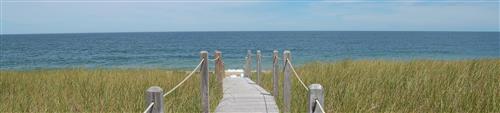 Pathway 